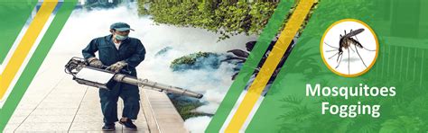 Mosquitoes Fogging - Pest Control Services