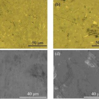 Image result for Microstructure Examination