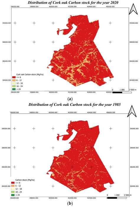 An Integrating Framework for Biomass and Carbon Stock Spatialization ...