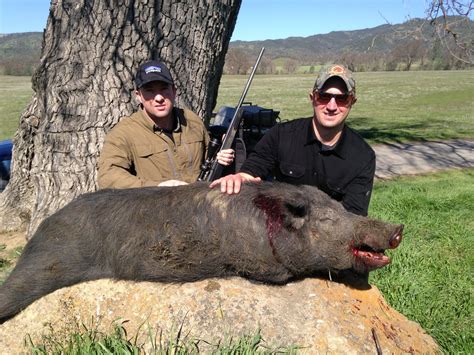Matt & Luke's First Pig Hunt - California Wild Hog & Pig Hunting - Bitterwater Outfitters