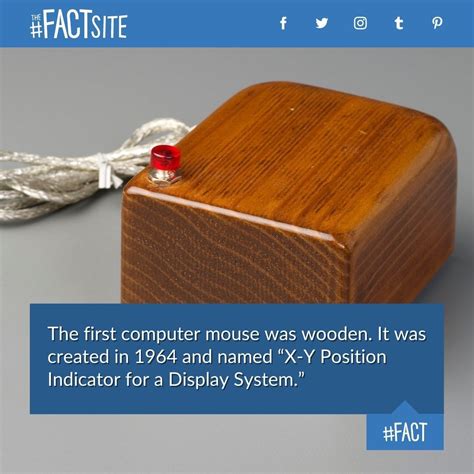 First Computer Mouse 的图像结果