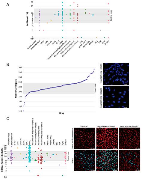 Novel Epigenetic Modifiers of Histones Presenting Potent Inhibitory ...