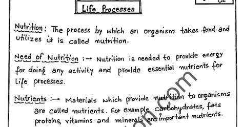 Image result for Notes Class 10 Science Flowchart