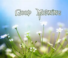 Image result for Good Morning My Love Spring