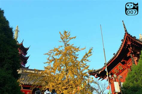 鸡鸣寺求姻缘为什么很灵-在哪个殿 南京鸡鸣寺可以求签吗 - 旅游资讯 - 旅游攻略