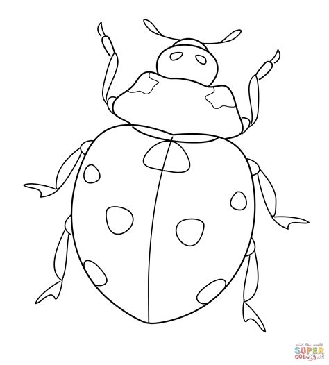 Ladybug coloring page | Free Printable Coloring Pages