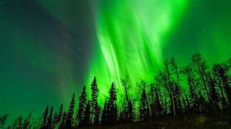 Aurora Borealis: Northern Lights To Glow Up Night Skies In These US ...