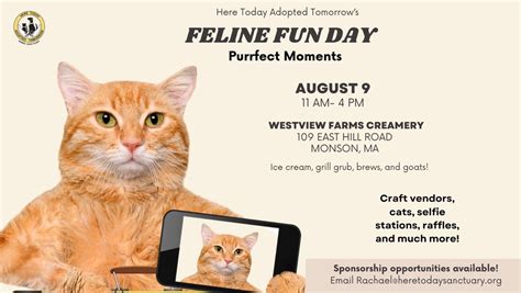 HTATs Feline Fun Day 2025, Westview Farms Creamery, Monson, 9 August ...