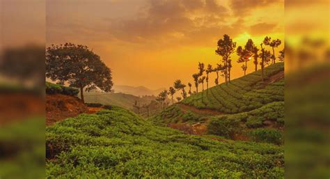 Kerala Itinerary: IRCTC launches 6 day/5 night Kerala itinerary ...