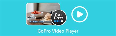 Image result for Tutorial GoPro Player