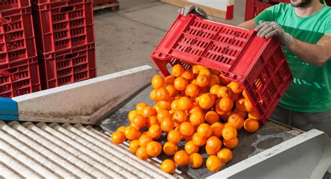 Image result for Fast Food Processing