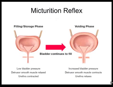 mication