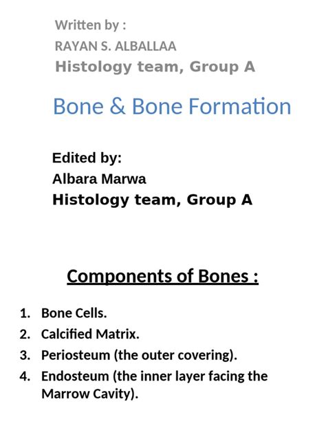 Image result for Process of Bone Formation