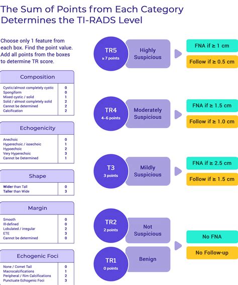 Classificação Ti Rads 4 - RETOEDU