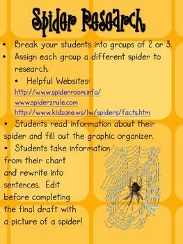 Image result for Science Lab Report On Spider