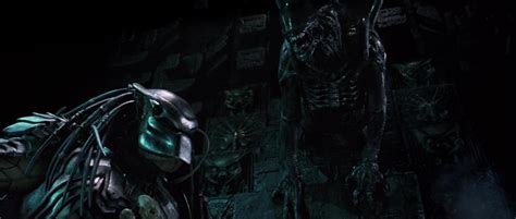 Image result for Alien Kills Predator