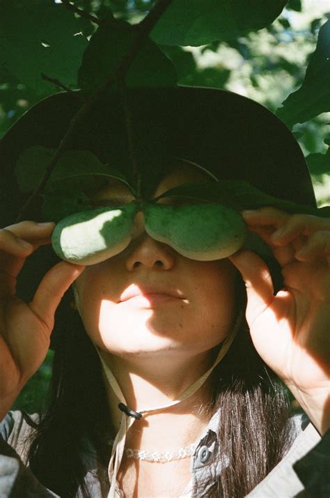 middle brow is... — middle brow