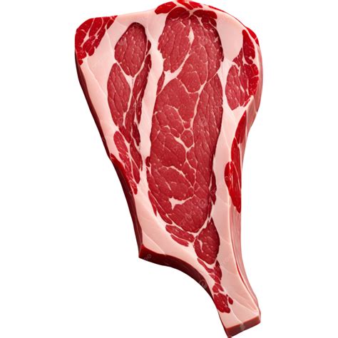 Tasty And Fresh Meat, Illustration, Element, Meat PNG Transparent Image ...