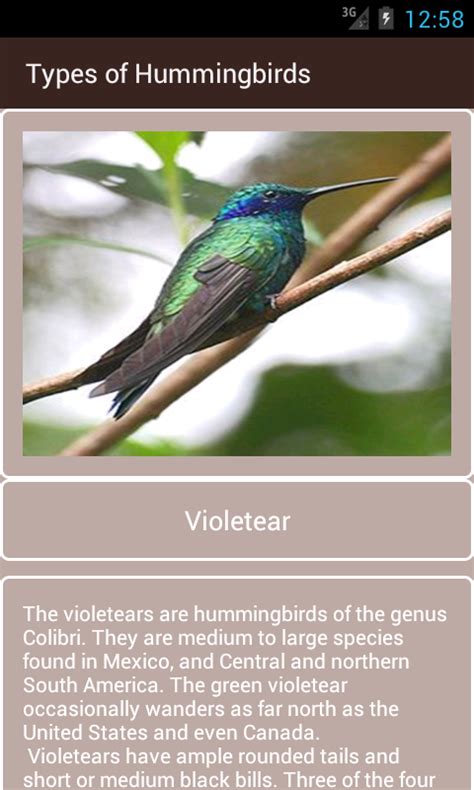 Types of Hummingbirds - App on Amazon Appstore