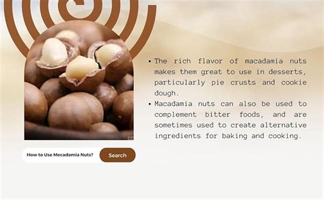 Sindhi Dry Fruits Premium Macadamia Nuts, Macadamia Nuts Without Shells ...