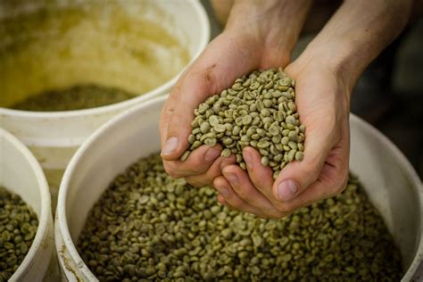 Image result for Java Sumatra Coffee Beans