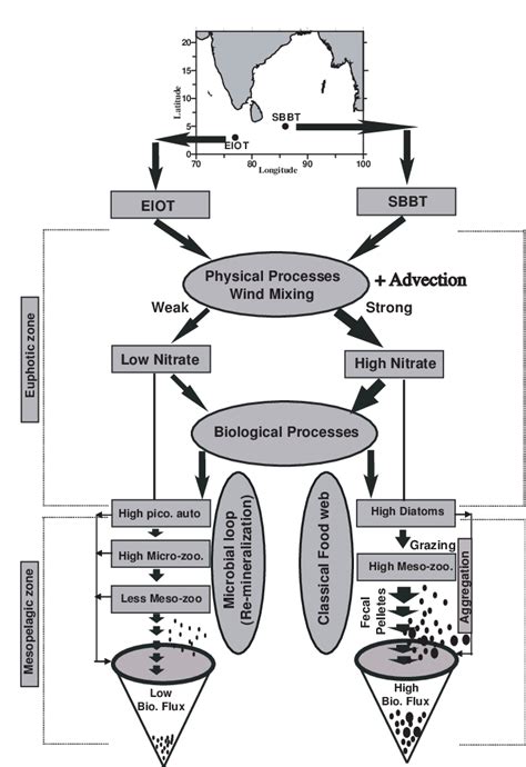 Biological 的图像结果