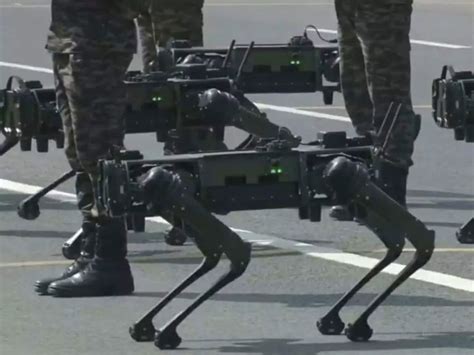 Watch ‘Sanjay’ the Indian army robotic dog who dominated Kolkata’s ...