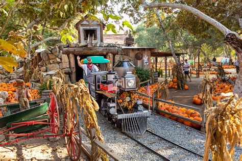 Wheel Fun Rentals Irvine Park Pumpkin Patch 2023 | Wheel Fun Rentals