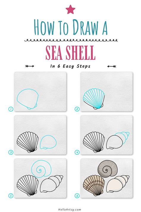 Image result for Easy Simple Shell Drawing