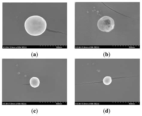 Characterization and Antimicrobial Property of Poly(Acrylic Acid ...