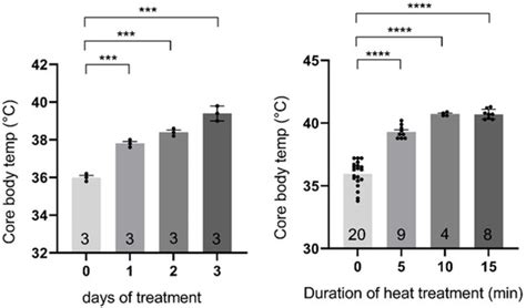 Daily Brief Heat Therapy Reduces Seizures in A350V IQSEC2 Mice and Is ...