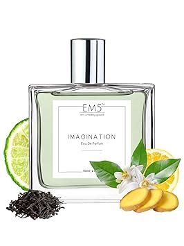 Buy EM5 Imagination Perfume for Men & Women |Citrus Amber Fresh Spicy ...