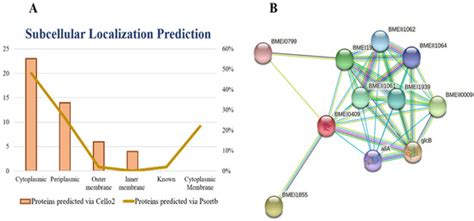 Integrated Bioinformatics-Based Subtractive Genomics Approach to ...