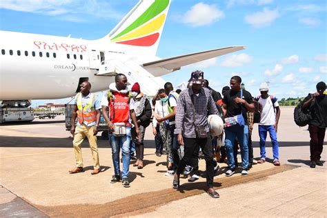 Over 700 Ugandans repatriated
