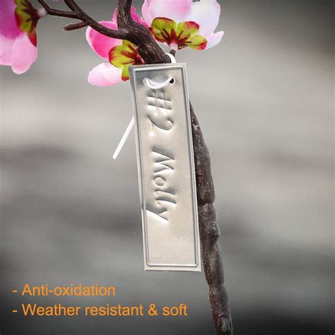 Buy Coolrunner Plant Labels, Aluminum Plant Tags with 6 Inch Wires (100 ...