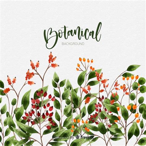 Hand drawn botanical background | Free Vector