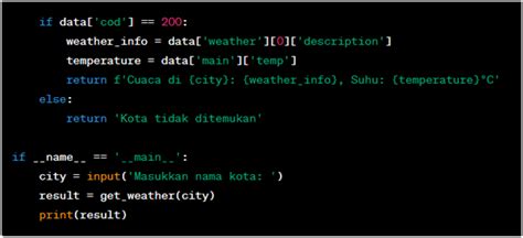 OpenWeatherMap API Python 的图像结果
