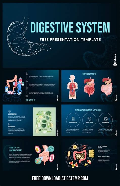 Image result for Digestive System Template