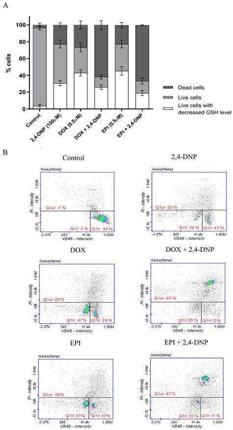 2,4-Dinitrophenol as an Uncoupler Augments the Anthracyclines Toxicity ...
