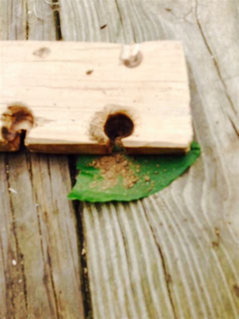 Friction Fire 的图像结果