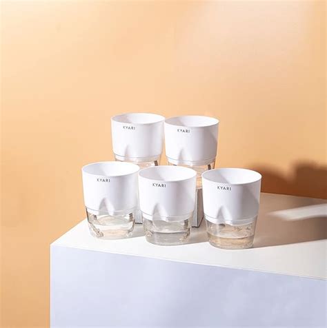 KYARI Combo of 5 White Self-Watering Pots for Indoor Plants, Best ...
