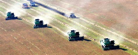 Russland: Trockenheit drückt Getreideernte | agrarheute.com