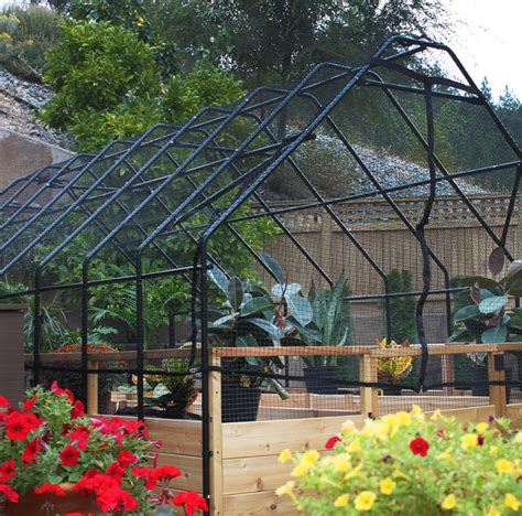 Image result for Bird Netting Box