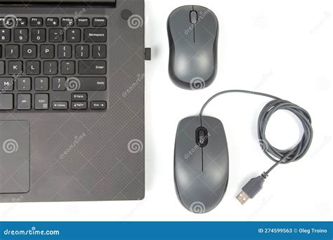 Real Mouse Computer 的图像结果