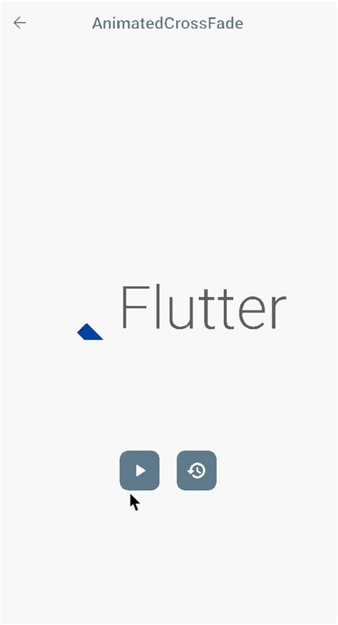 Adding Animation Flutter 的图像结果