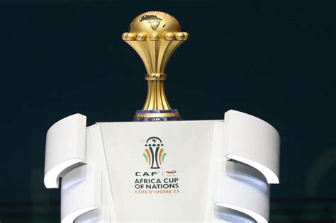 Image result for Can You Eat Python's