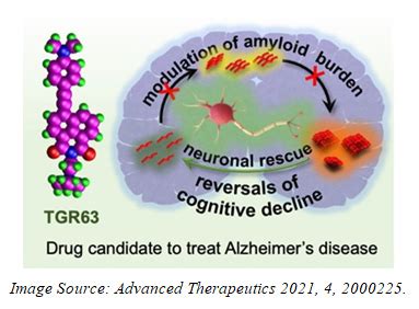 New molecule developed could be potential drug candidate for the ...
