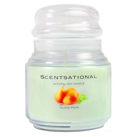 SCENTSATIONAL NATURAL SOY CANDLE | Wayfair