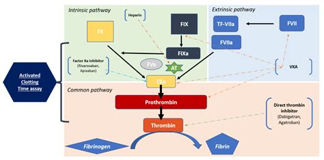 Running after Activated Clotting Time Values in Patients Receiving ...