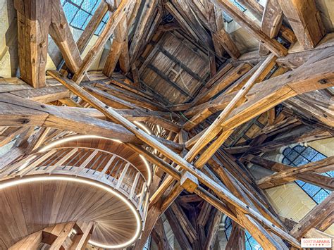 Visita às torres de Notre-Dame de Paris: reabertura com um novo ...